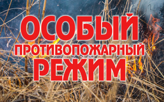 Об установлении особого пожароопасного режима на территории города Каргата Каргатского района Новосибирской области